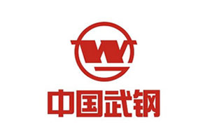 【案例】尊龙凯时人生就是搏耐磨陶瓷衬板在武汉钢铁烧结厂的尝试结论汇报